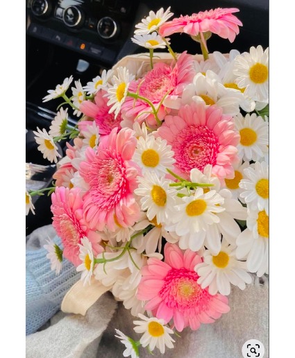 Yes My Darling! Gerberas daisies in wrapp
