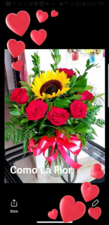 You are my Sunshine and Love  Sunflower surrounded by Red Roses