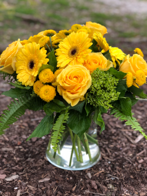 You Are My Sunshine Fresh Cut