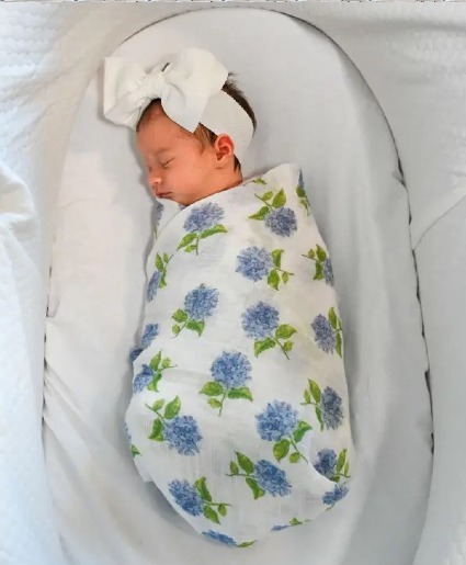 You had me at HYDRANGEA! Baby Gifts