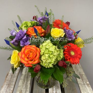 You Light Up My Life  in Etobicoke, ON | THE POTTY PLANTER FLORIST