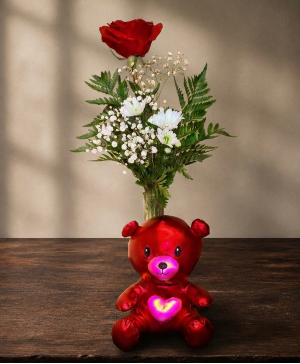 Young love RED ROSE