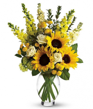 Your Are My Sunshine 