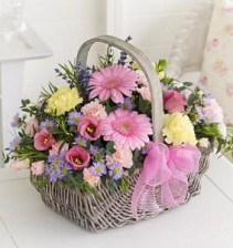 Your Garden 