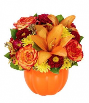 You'r my Pumpkin  SPECIAL OF THE MONTH 