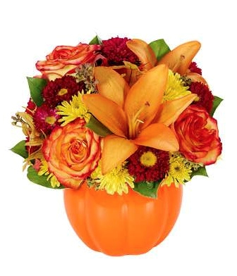 You'r my Pumpkin  SPECIAL OF THE MONTH 