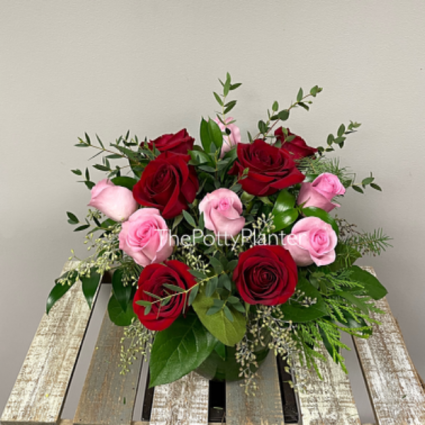 Secret Admirer 
