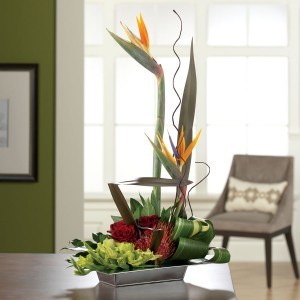 Your Very Own Paradise Tropical Design