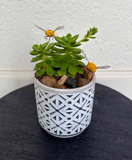 Desk-Side Delight 
