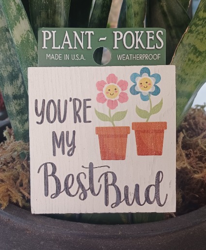 You're My Best Bud 