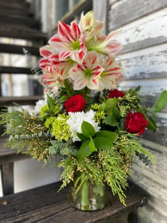 Yule Tide Splendor Christmas Arrangement in Key West, FL | Petals & Vines