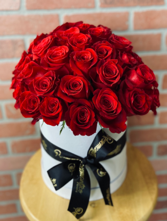 De La Rosa POPULAR