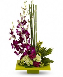  Zen Artistry MODERN MIX