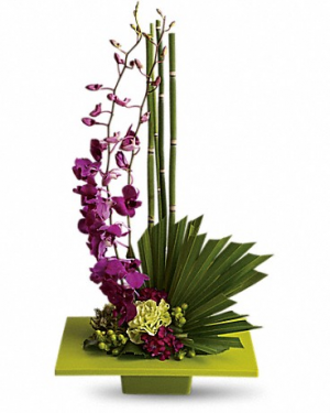 Zen Artistry T81-1 12.25"(w) x 23(h) ONE SIDED