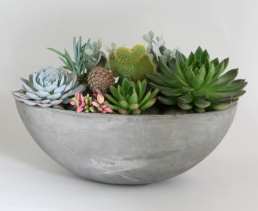 Zen Garden Arrangement