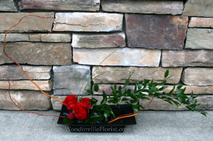 Zen Roses Contemporary Rose Arrangement