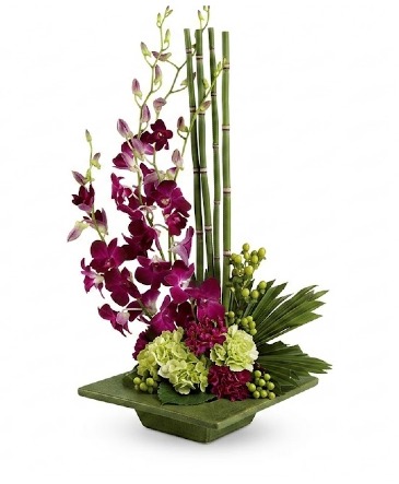 Zen Serenity  in Wilmington, DE | EVERLASTING BEAUTY FLORAL DESIGNS