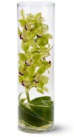 Zensational Flowers Orchid Arrangement in Los Angeles, CA | MY BELLA FLOWER