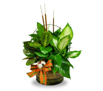 Planters with seasonal fresh or silk flowers  (P) Containers are usually baskets or tin containers. 