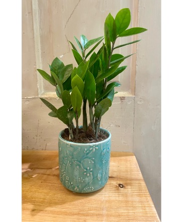 ZZ Planter  in Warren, PA | VIRG-ANN FLOWER SHOP LLC.