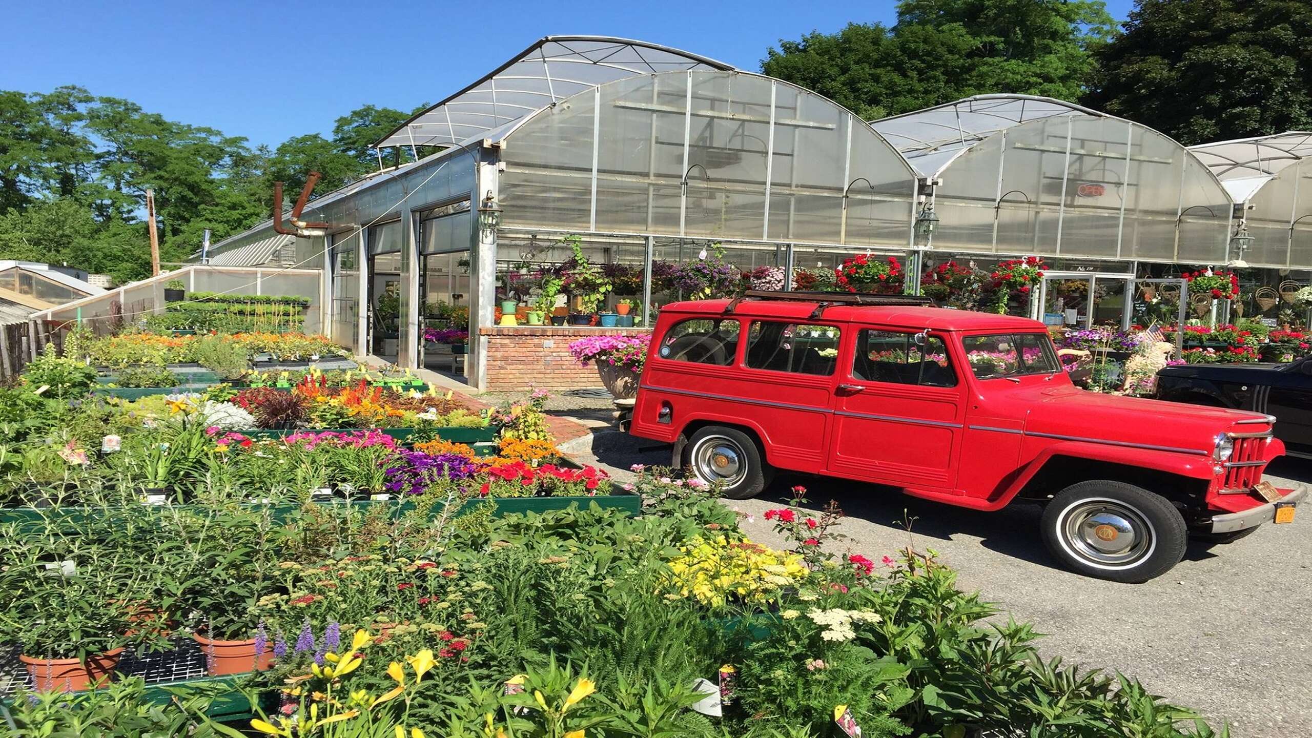 Parrino's Greenhouses Garden