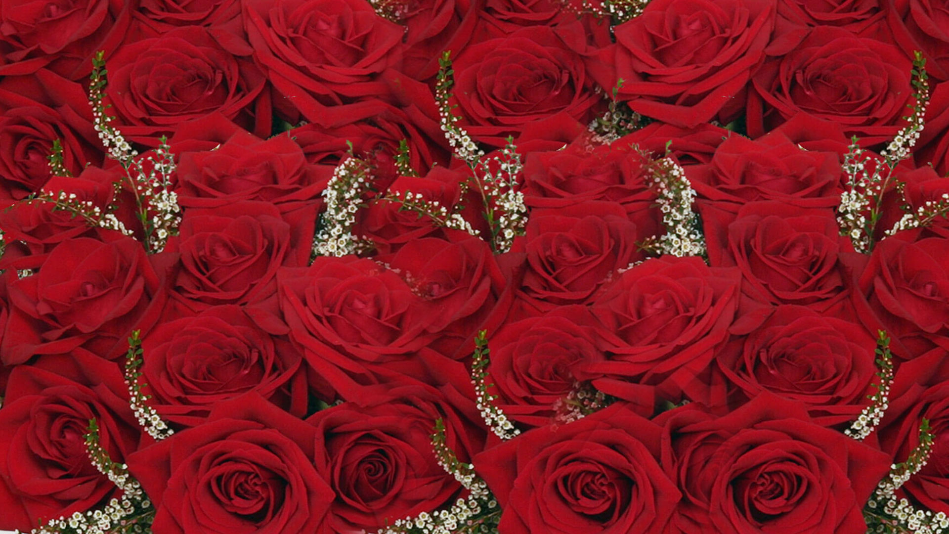Company's Coming Florist business photo