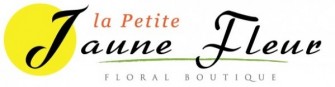 LA PETITE JAUNE FLEUR
