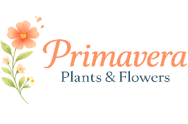 Primavera Plants & Flowers