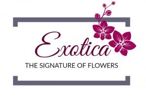 Exotica The Signature of Flowers website photo