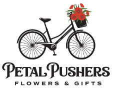 PETAL PUSHERS