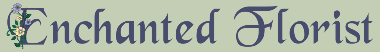 Homepage