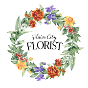 PLAIN CITY FLORIST