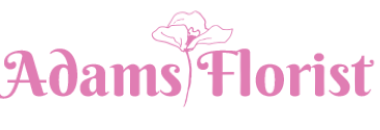 Homepage