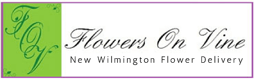 Flowers On Vine