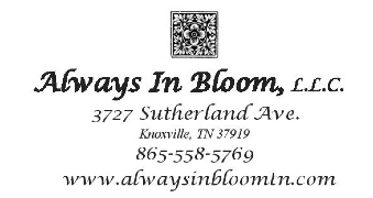 ALWAYS IN BLOOM LLC
