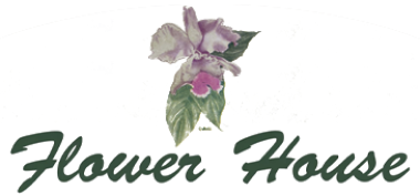 Homepage