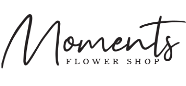 Homepage