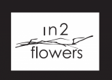 IN 2 FLOWERS DESIGN STUDIO