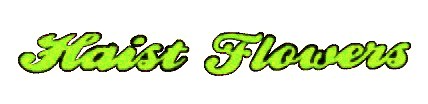 Haist Flowers Gifts-N-Greenhouse