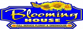 Homepage