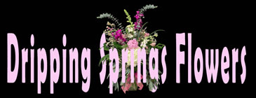 DRIPPING SPRINGS FLOWERS - LOCAL & BEST FOR DAILY FLORALS! website photo