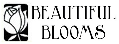 BEAUTIFUL BLOOMS