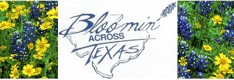 Bloomin' Across Texas, Inc. website photo