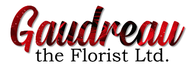 Homepage