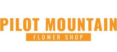 PILOT MOUNTAIN FLOWER SHOP