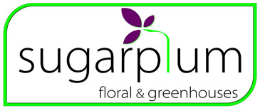 SUGARPLUM FLORAL & GREENHOUSE