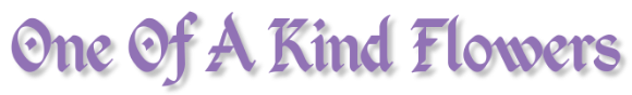Homepage