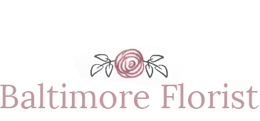 Baltimore Florist photo 2