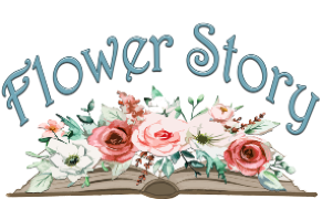 Homepage