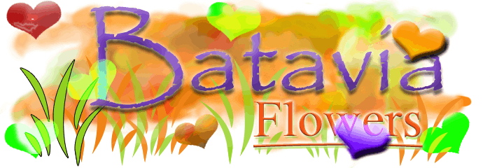 Batavia Flowers - Logo